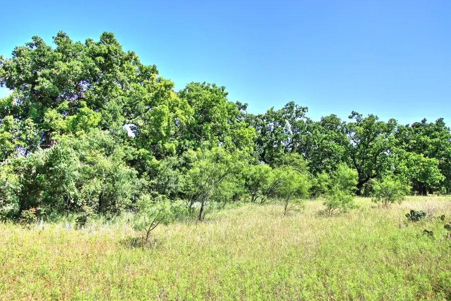 Lot 5 Rm 1323, Willow City, TX 78675 - Image #3