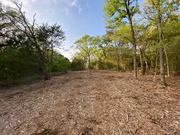 TBD Parcel 2 Paffen Dr, Paige, TX 78659