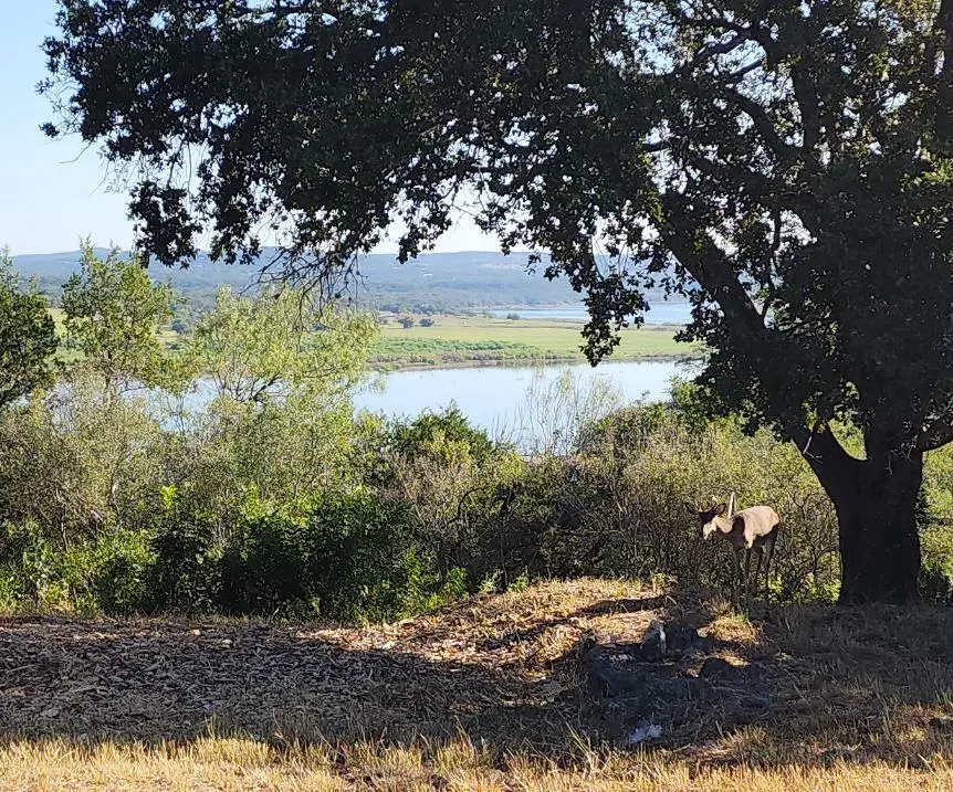 113 (Lot 3B) Hill Loop, Spicewood, TX 78669 - #1