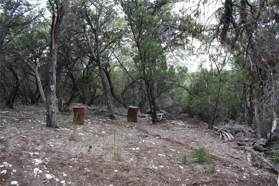 20701 Northland Dr, Lago Vista, TX 78645 - Image #3