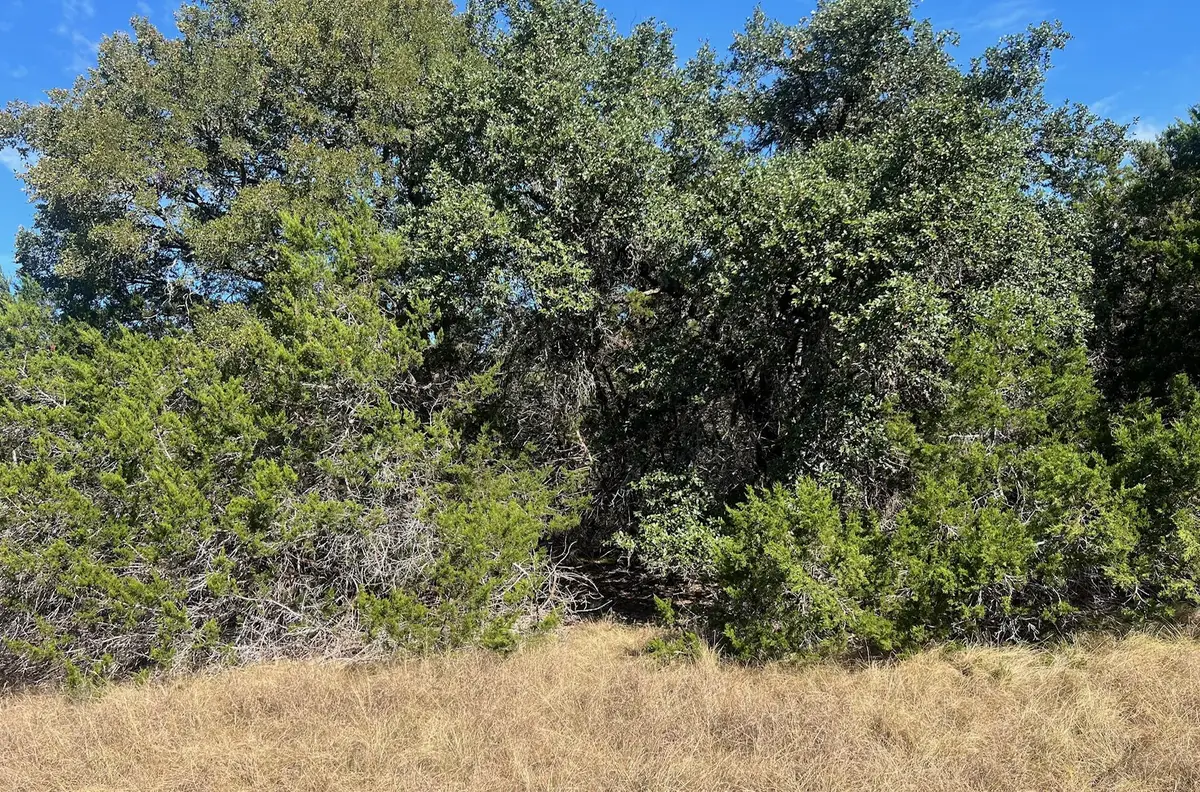 1366-E Narrows Rd, Blanco, TX 78606 - Image #1