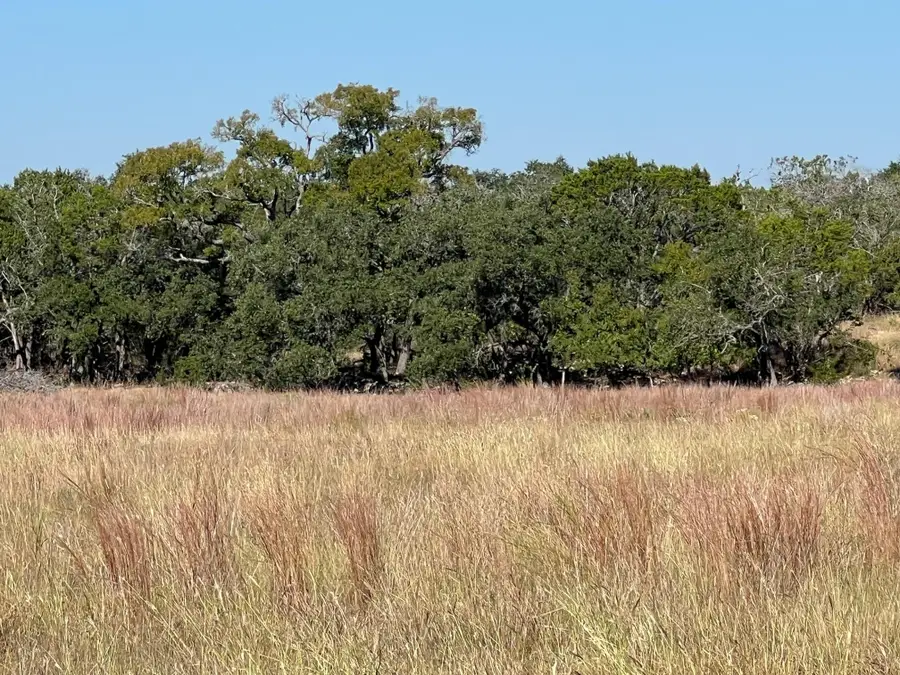 1366-E Narrows Rd, Blanco, TX 78606 - Image #3