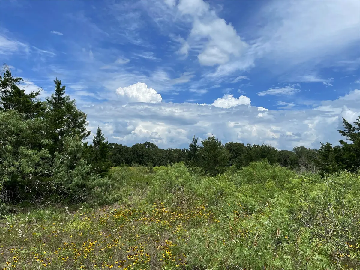 TBD Fm 141, Giddings, TX 78942 - #1