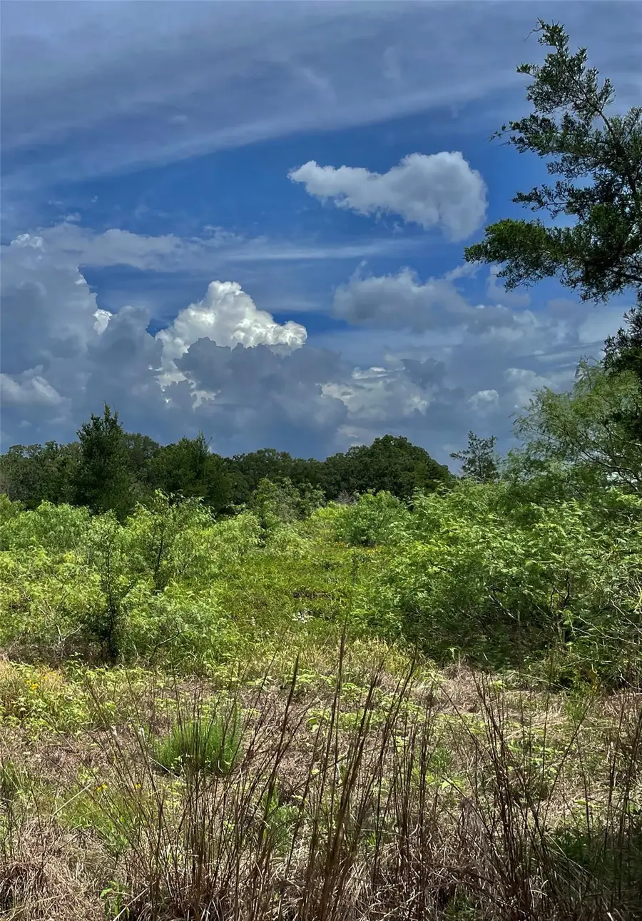 TBD Fm 141, Giddings, TX 78942 - #2