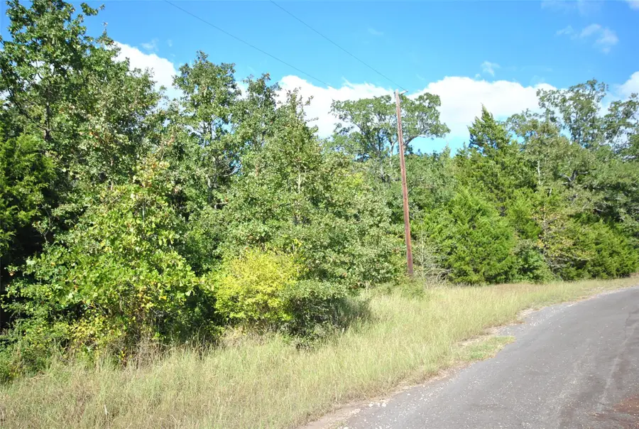 LOT 24 Lcr 910, Jewett, TX 75846 - #3