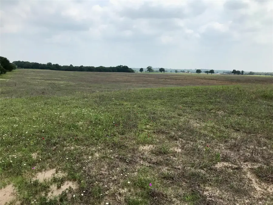 1672 Sayers Rd #Tract 1, Bastrop, TX 78602 - Image #2
