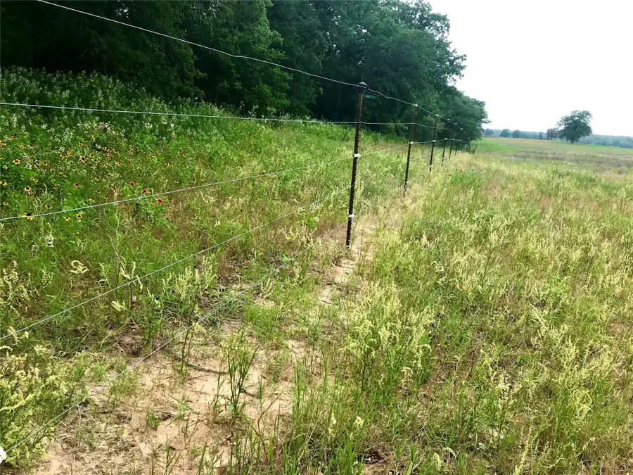 1672 Sayers Rd #Tract 1, Bastrop, TX 78602 - Image #3