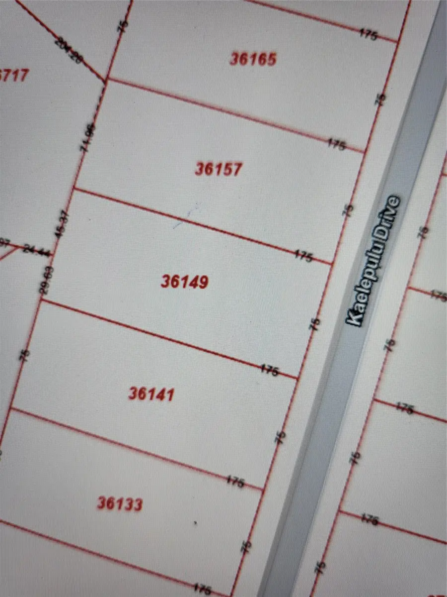 36141 & 36149 Kaelepulu Dr, Bastrop, TX 78602 - Image #2