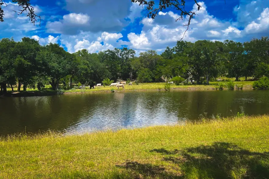 1364 N Walnut Springs Dr, Johnson City, TX 78636 - #3