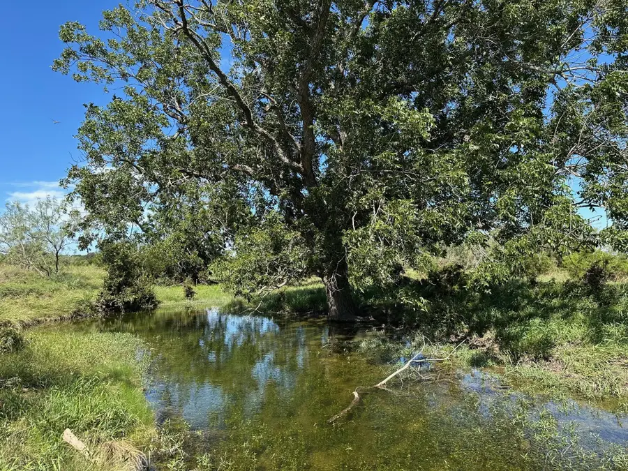 unk Cr 330, Bertram, TX 78605 - Image #2