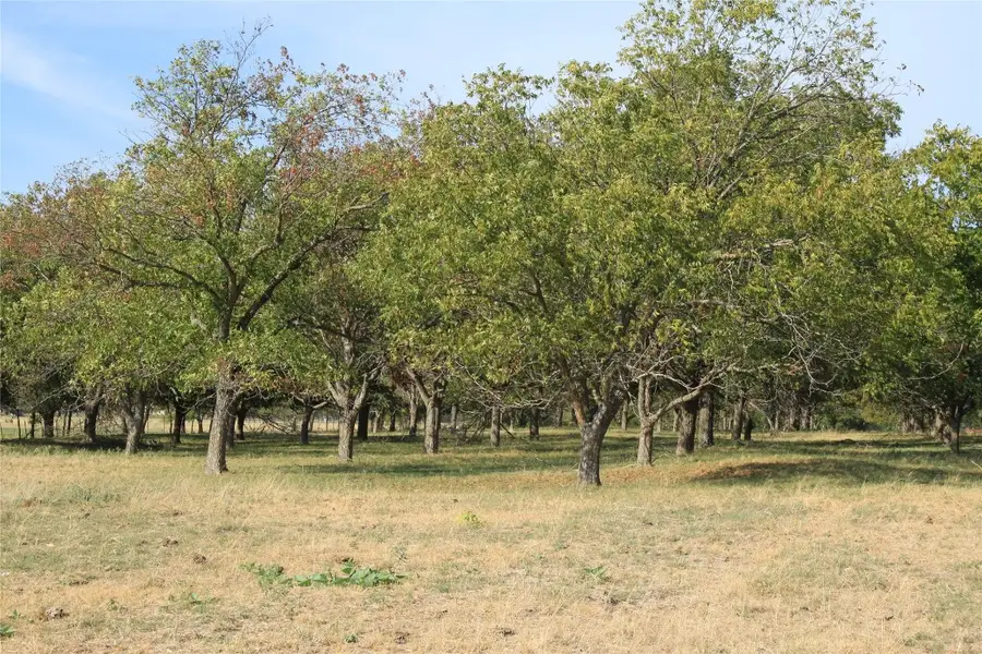 13050 E E State Hwy 29, Georgetown, Texas, 78626, Georgetown, TX 78626 - Image #2