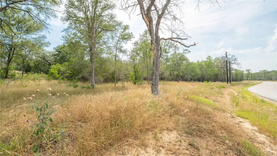 960 Ferguson Loop, Dale, TX 78616 - Image #3