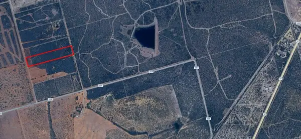 . County Road 354, Charlotte, TX 78011