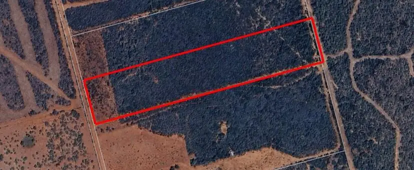 . County Road 354, Charlotte, TX 78011 - Image #2