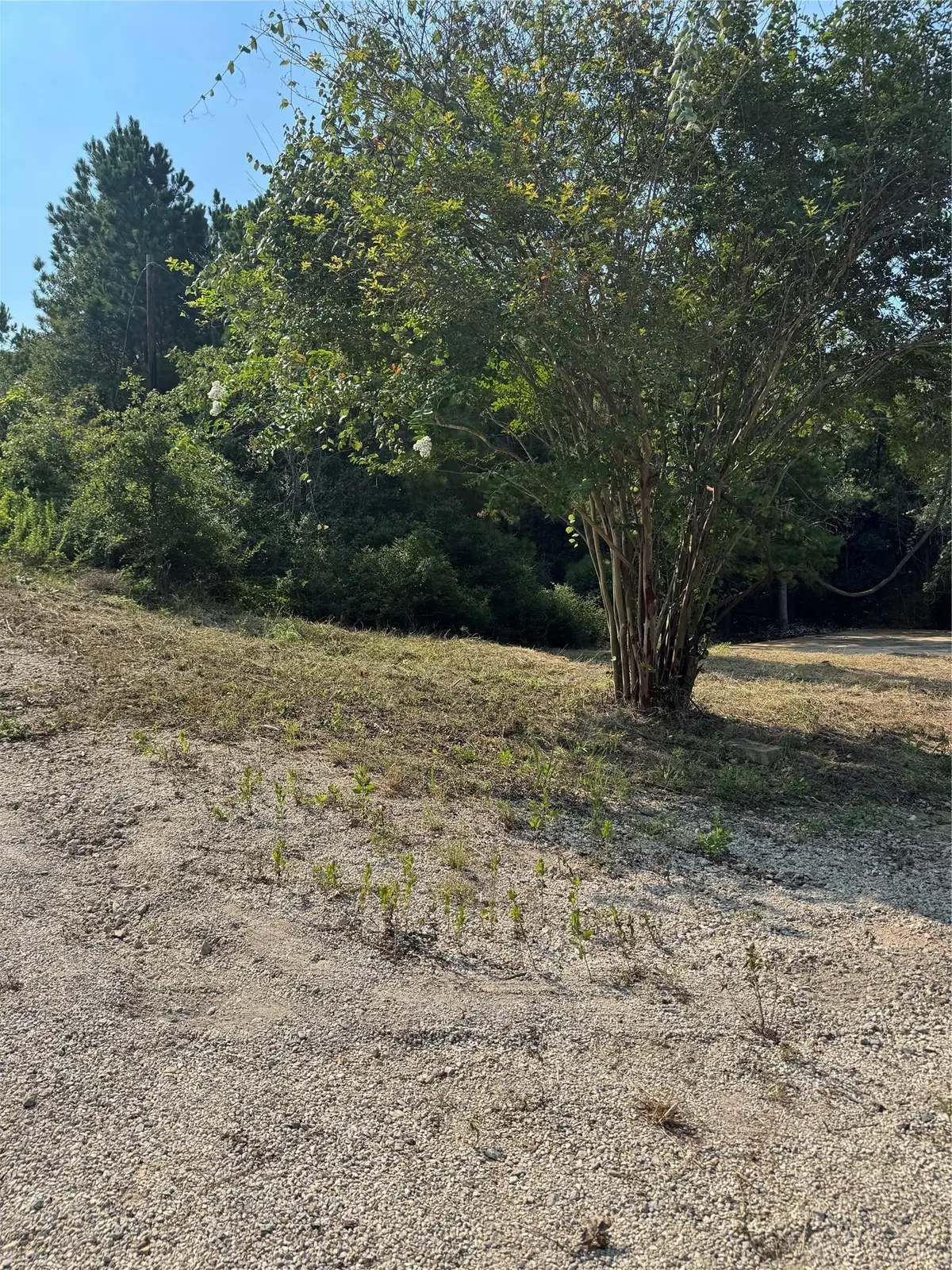 131 Nakalele Ln, Bastrop, TX 78602 - Image #1