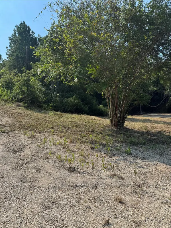 131 Nakalele Ln, Bastrop, TX 78602