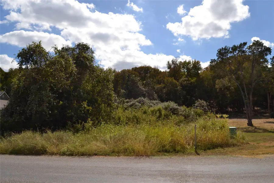 223 Pleasant Valley Rd, Wimberley, TX 78676 - Image #3
