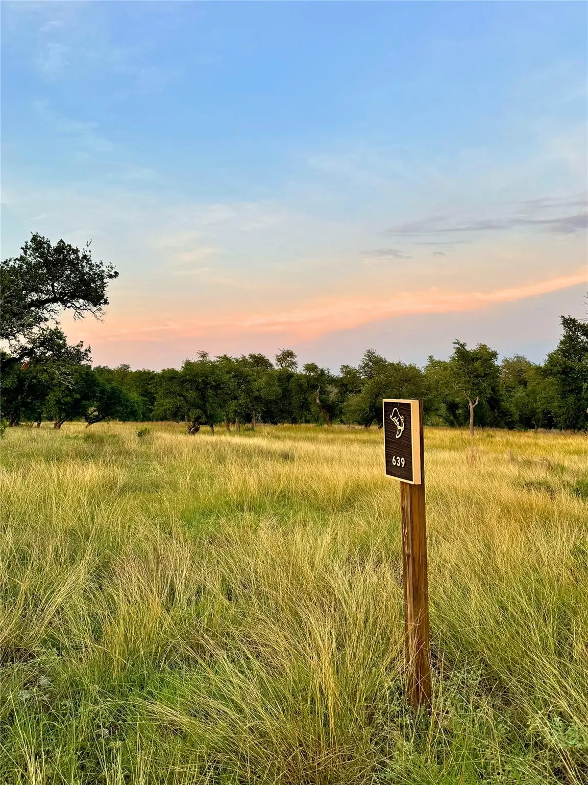 Lot 639 Beretta Dr, Fredericksburg, TX 78624 - Image #1