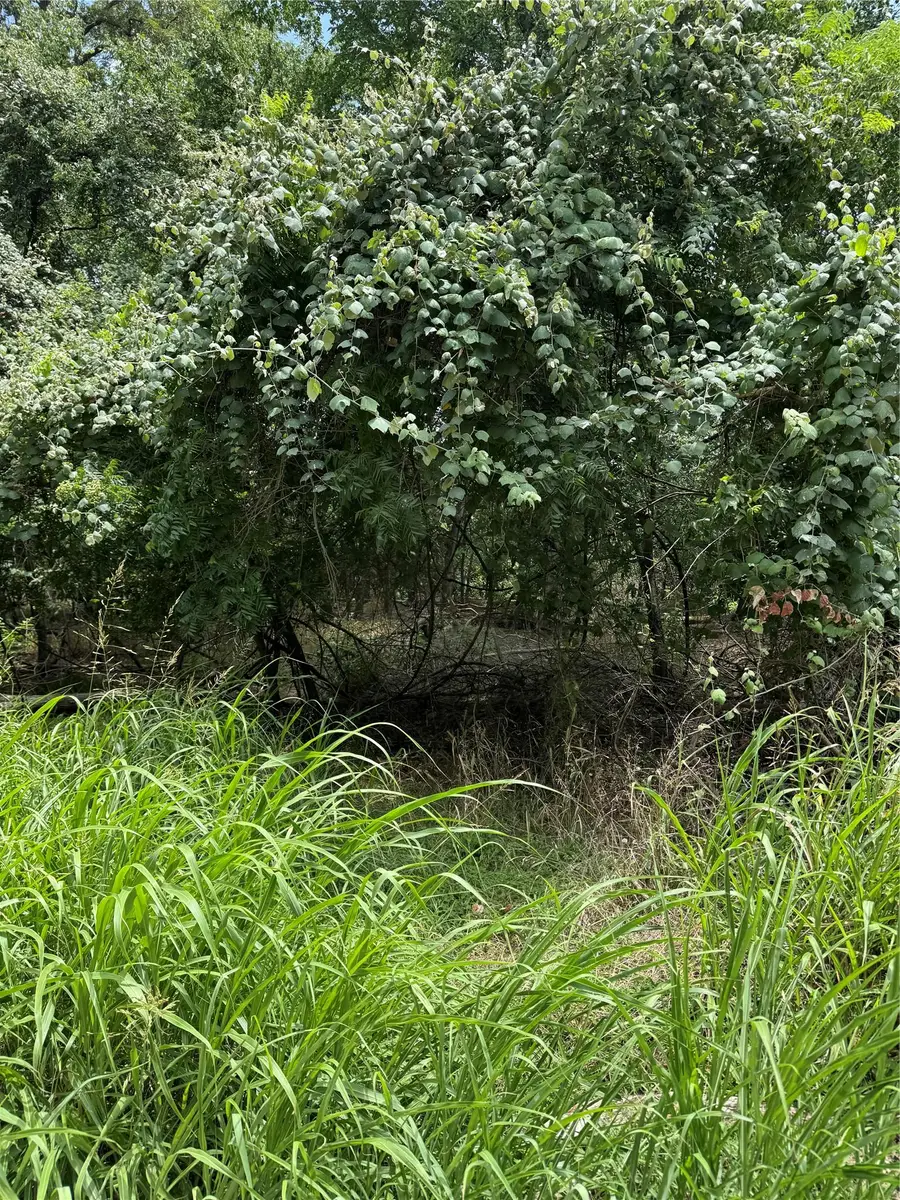 Lot 902 Kahana Ln, Bastrop, TX 78602 - Image #3