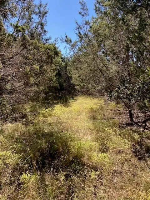 55 York Creek Rd, Driftwood, TX 78619 - Image #1