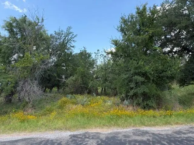 3523 Cactus Trl, Kingsland, TX 78639 - #2
