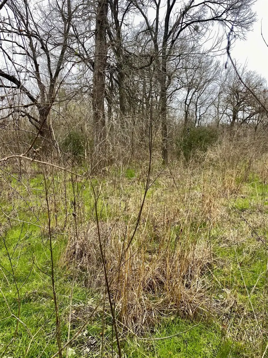 394 Fm 112, Thrall, TX 78947 - Image #3