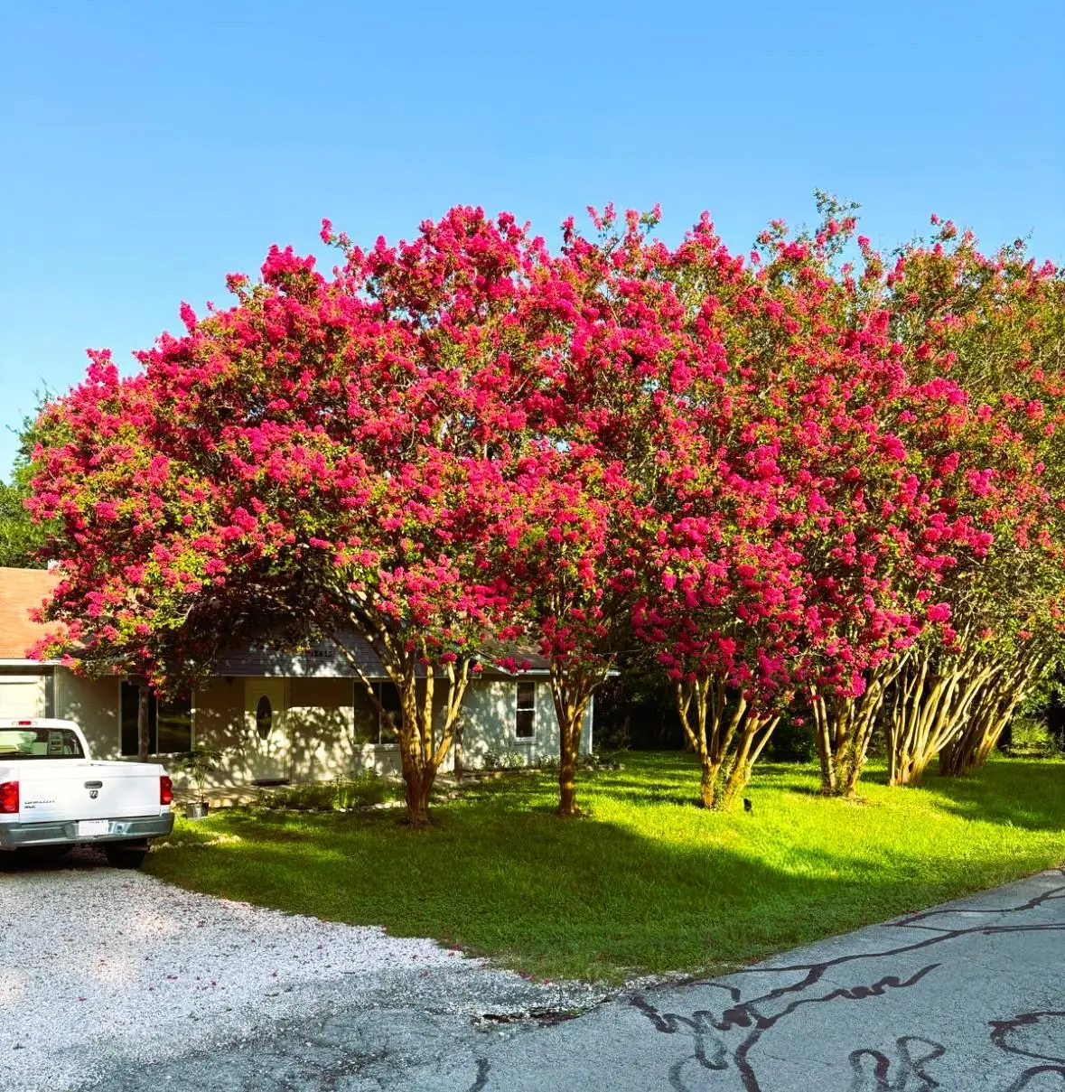 12613 Crystal Creek Dr, Buda, TX 78610 - #1