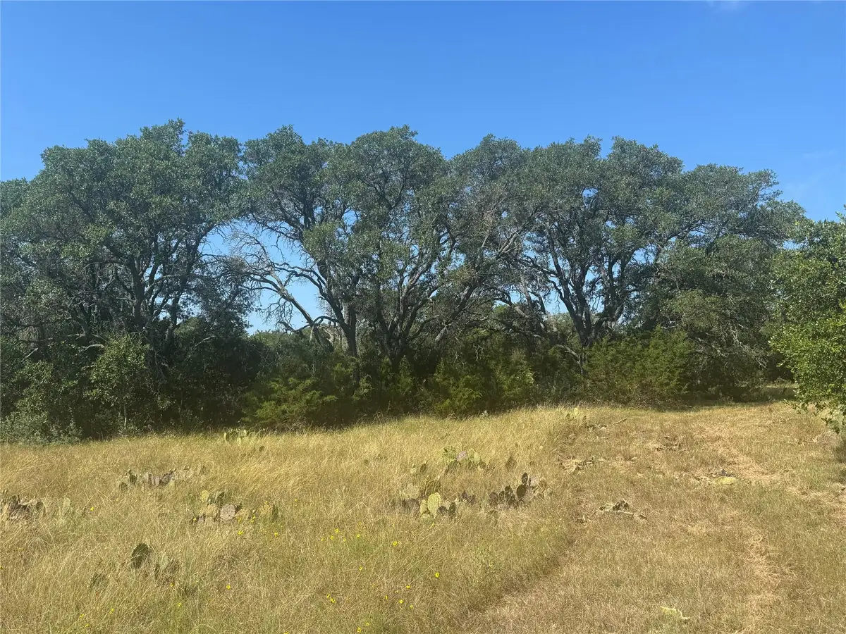 5 Back Bone Creek Dr, Burnet, TX 78611 - #1