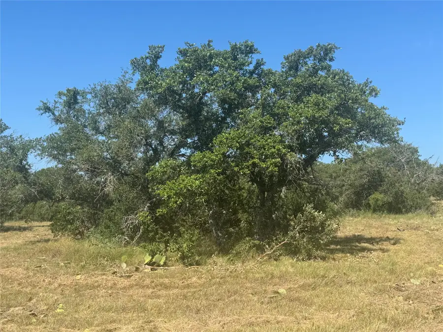 5 Back Bone Creek Dr, Burnet, TX 78611 - #2