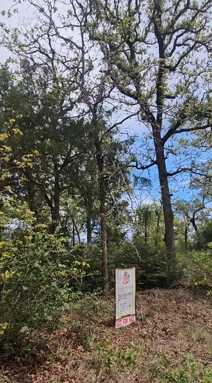 TBD Co Rd 308 Rd, Caldwell, TX 77836 - #1