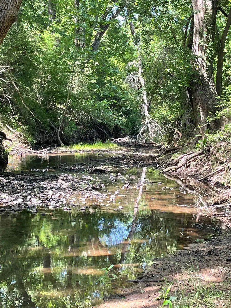 TBD 144.45 Acres, Smithville, TX 78957 - Image #2