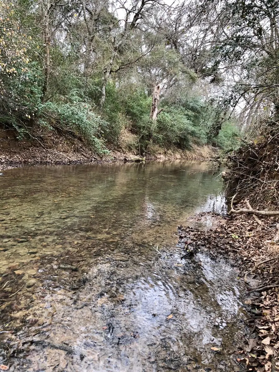 TBD 144.45 Acres, Smithville, TX 78957 - Image #3