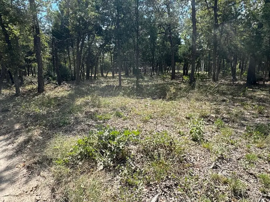 [Lot 1] 000 Jordan Ln, Elgin, TX 78621 - #3