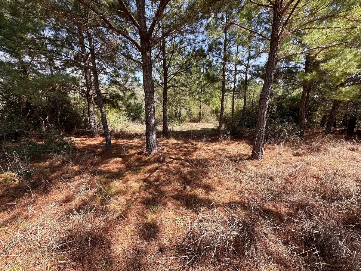 TBD Hula Ln, Bastrop, TX 78602 - Image #1