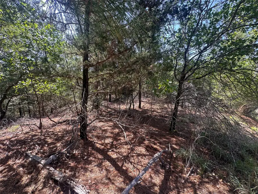 TBD Hula Ln, Bastrop, TX 78602 - Image #2