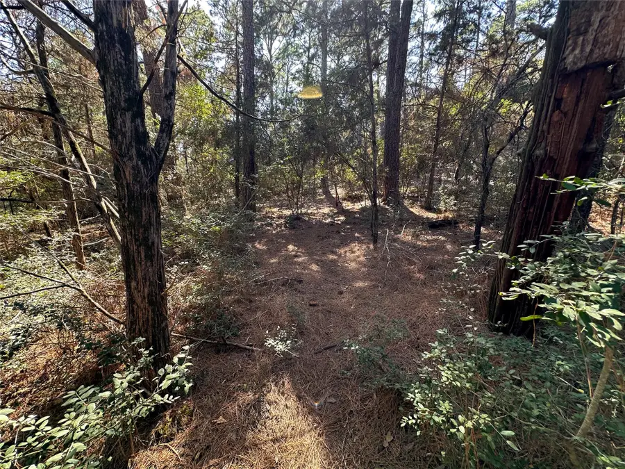 TBD Hula Ln, Bastrop, TX 78602 - Image #3