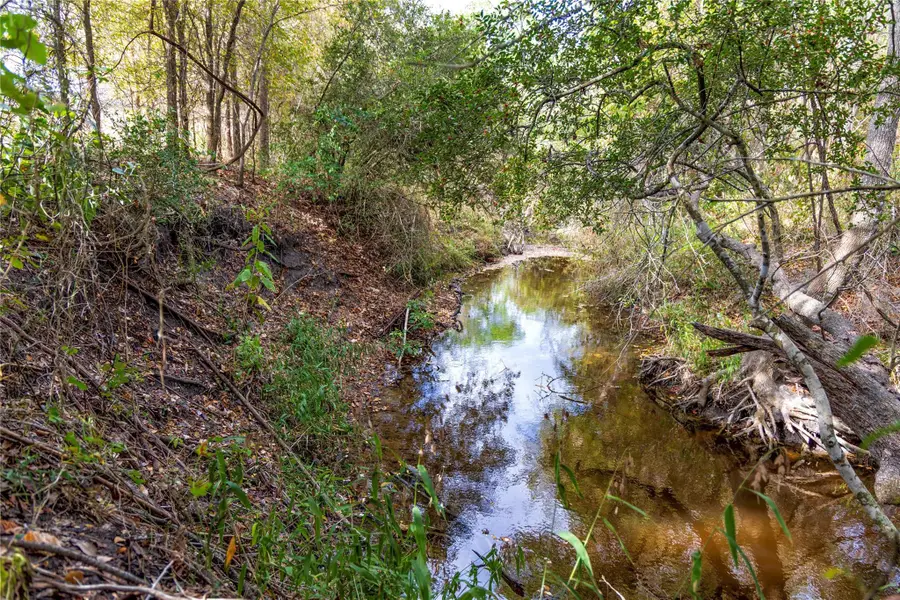 TBD Ladewig, Schulenburg, TX 78956 - #2