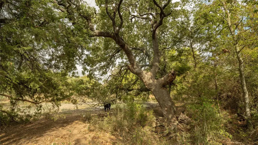 2054 County Road 334, Rockdale, TX 76567 - Image #3