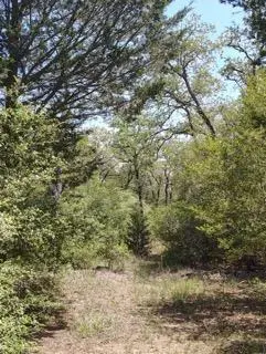 142 Meduna Rd, Smithville, TX 78957 - Image #2