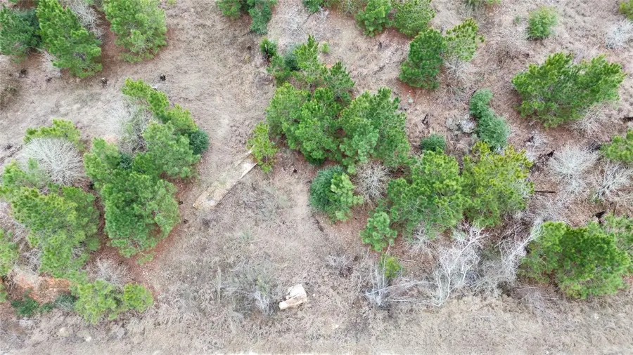 LOT 173 / R32210 Keo Kea Ct, Bastrop, TX 78602 - Image #3