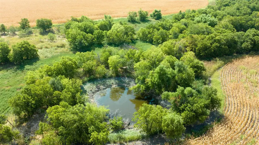 TBD County Road 418b, Thorndale, TX 76577 - Image #2