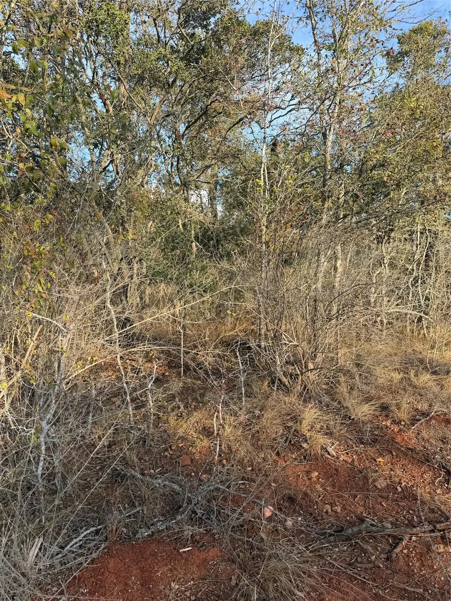 156 Helemano Dr, Bastrop, TX 78602 - #2