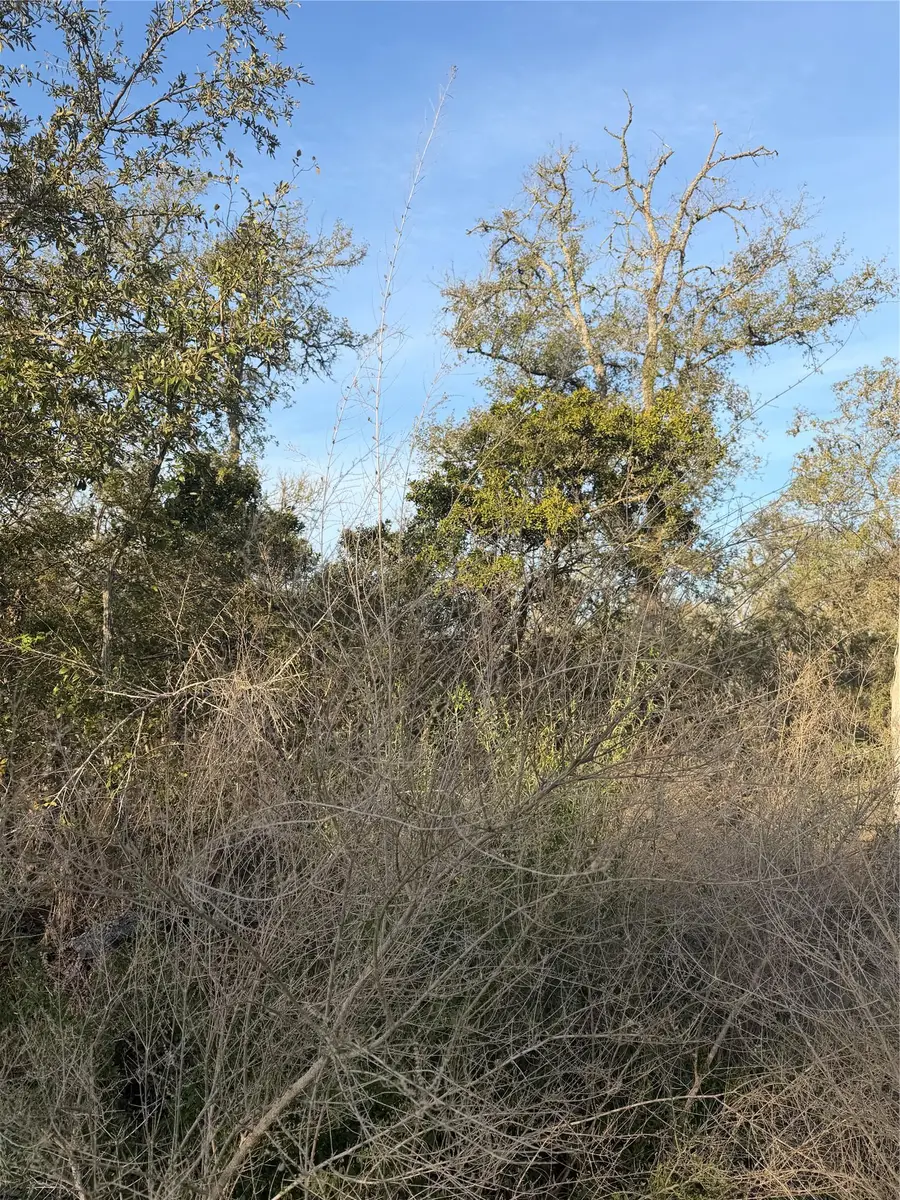 156 Helemano Dr, Bastrop, TX 78602 - #3