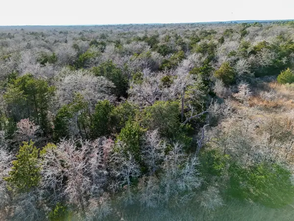 Lot 15 Antioch Rd, Paige, TX 78659