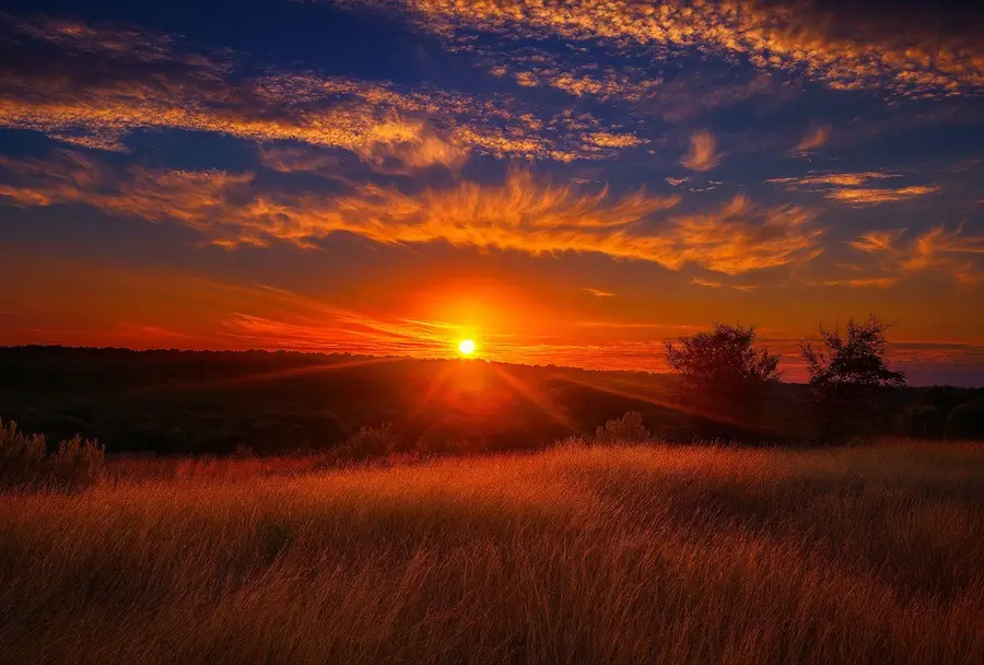 0000 Gibson-best Rd, Hye, TX 78635 - Image #2