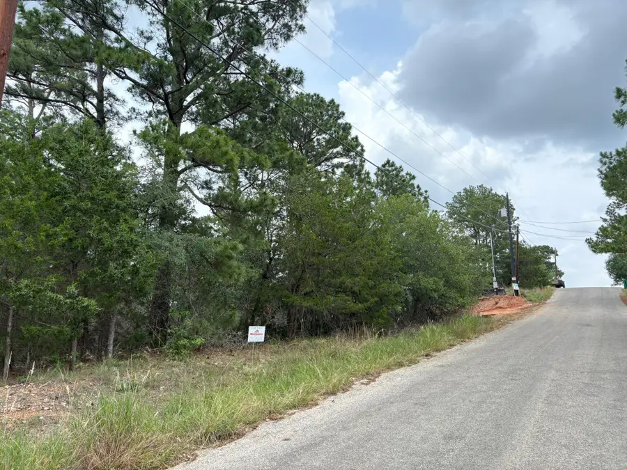 0 Kaelepulu Lot 240 Dr, Bastrop, TX 78602 - Image #2