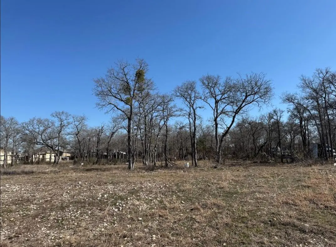 121 Pink Dahlia Dr, Dale, TX 78616 - #1