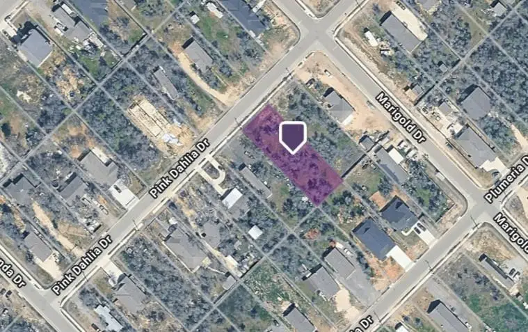 121 Pink Dahlia Dr, Dale, TX 78616 - #3