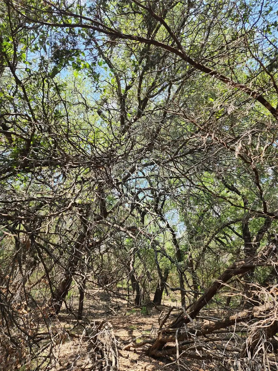 21304 Highland Lake Dr, Lago Vista, TX 78645 - Image #3