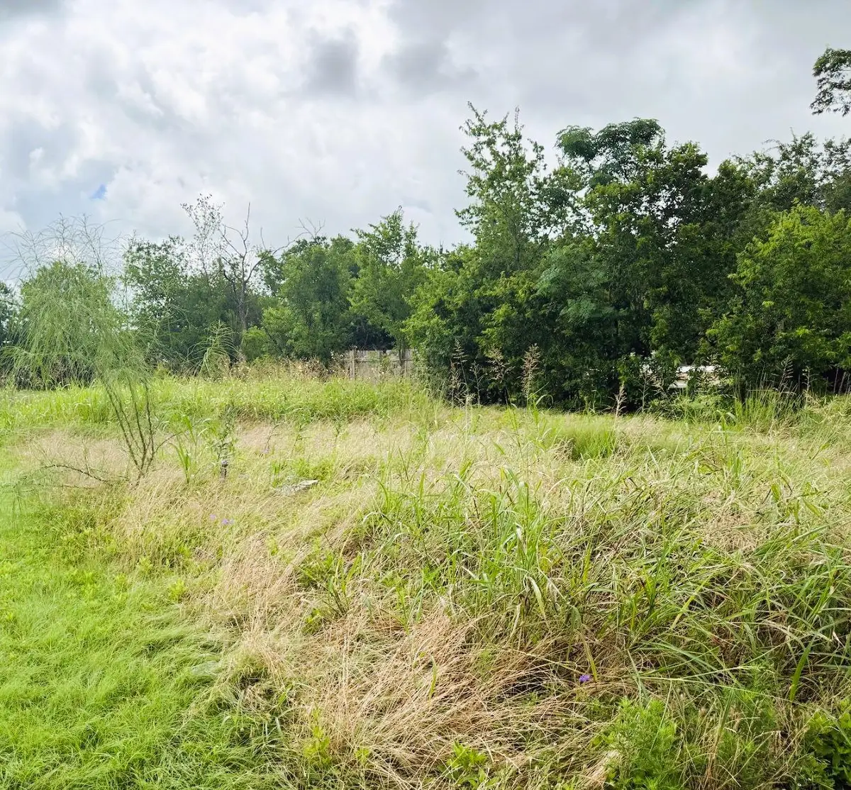 503 Maple St, Taylor, TX 76574 - #1